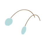 Antenne du Scarafeuille bleu