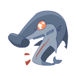 Requin marteau-faucille vidé