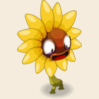 Petit Tournesol Sauvage